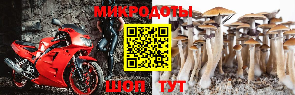 Псилоцибиновые грибы мухоморы Коркино