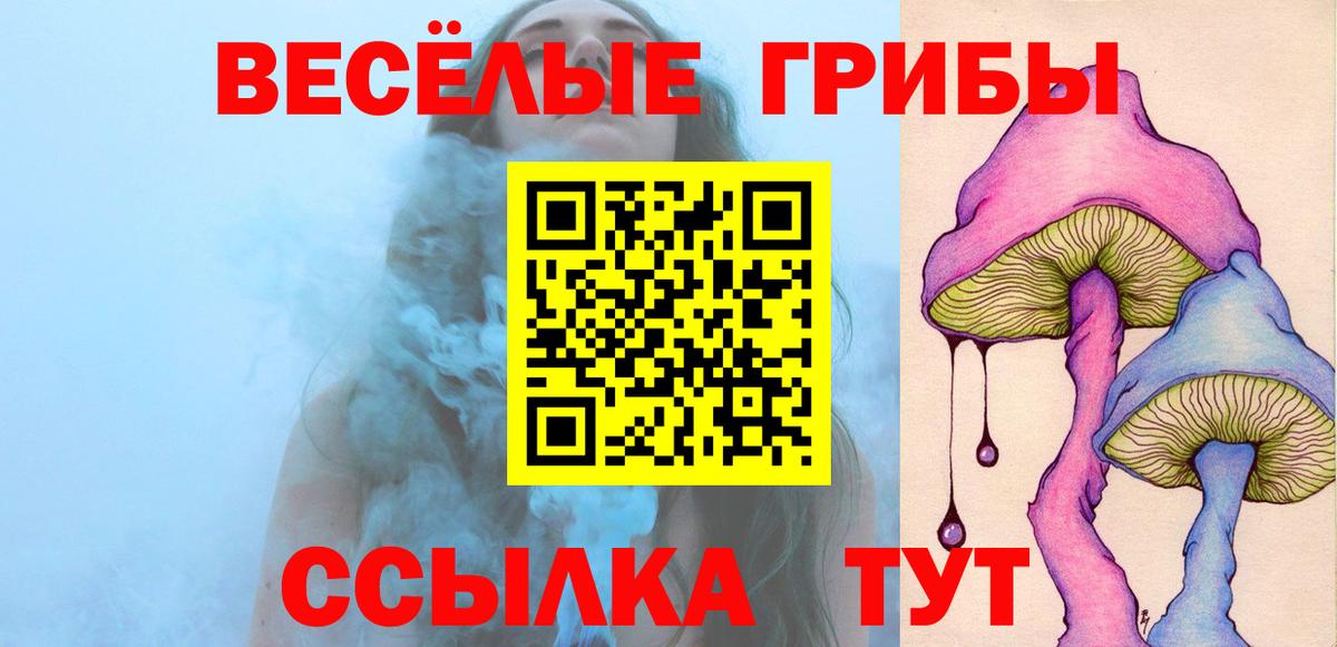 Псилоцибиновые грибы ЛСД  Вход с VPN  Псилоцибиновые грибы Psilocybe  как найти закладки  Коркино 